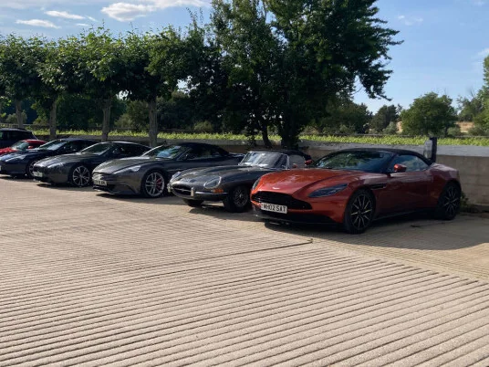 Line-up of Aston Martin sports cars, led by a copper convertible, parked along a driveway at the Aston Martin Drive